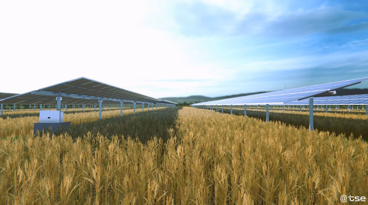 Les 5 bienfaits de la bioénergie en 2026